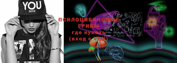 прущая мука Дмитров