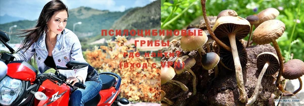 СК Покровск