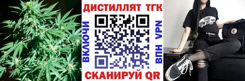 сколько стоит  OMG tor  ТГК Wax  Котлас 