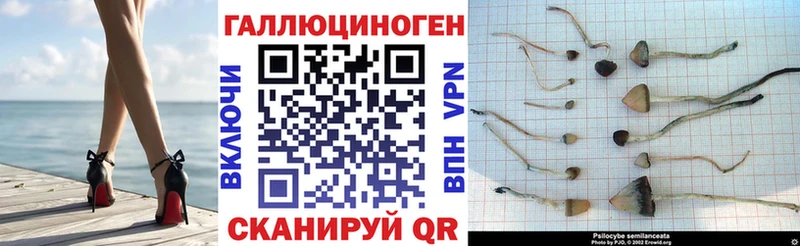Псилоцибиновые грибы мухоморы  Котлас 